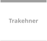 Trakehner